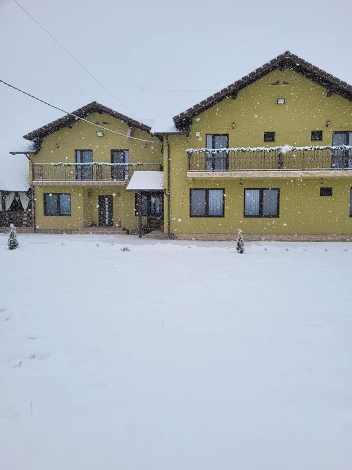 Willa Casa Sofia Avrig Zewnętrze zdjęcie